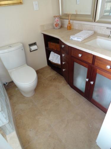 MTZ Tile and Stone Bath Remodel